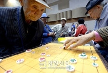 [경향포토]장기판에 집중하는 어르신