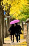 [경향포토]우산속 연인