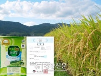 보성 녹차 성분 함유 ‘기능성 쌀’ 특허 획득