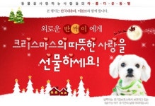 반려동물을 사랑하는 사람들의 아름다운 동행, 십시일반(十匙一飯)