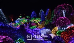 [경향포토]아침고요수목원 별빛정원