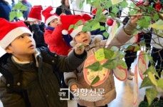 [경향포토]소망나무