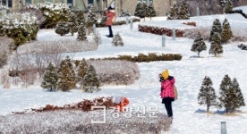 [경향포토]눈꽃 세상