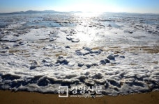 [경향포토]얼어붙은 동막해안