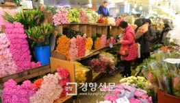 [경향포토]남대문 꽃도매시장 북적