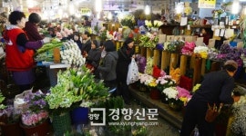 [경향포토]북적이는 꽃 도매시장