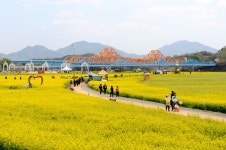 [新택리지]태고의 신비, 늪과 온천의 천국 경남 창녕군