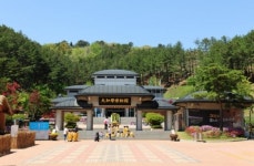 [新택리지]‘신비의 왕국’ 대가야의 도읍지, 경북 고령