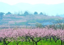 [新택리지]푸른 산, 맑은 물, 인심 좋은 곳…경북 청도