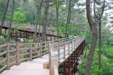 [新택리지]사람과 자연이 어우러진 환경 생태도시, 부산 북구