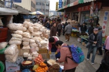 [新택리지]‘신비의 왕국’ 대가야의 도읍지, 경북 고령