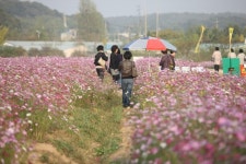 [新택리지]변방에서 ‘세계가 주목하는 도시’로, 인천 서구
