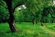 [新택리지]‘말 달리는’ 첨단산업도시로 거듭나는 포도·한약재 향기 그윽한 별의 도시, 영천