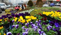[경향포토]새 봄 맞이