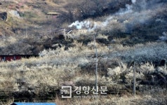 [경향포토]매화향 날리는 마을