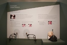 [건강단신]듣고 맡고 숨쉬고 말하기’展 外