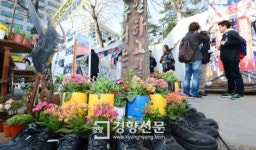 [경향포토]대한문 앞 쌍용차분향소에 찾아든 봄소식