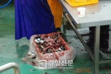 여수해경, 생선가공 폐기물 불법 유통 7명 적발