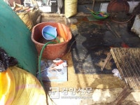 흑염소 1400마리 불법도축 유통·판매업자 무더기 검거