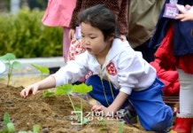 [경향포토]광진구 일일 농부체험