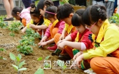[경향포토]나란히 앉아 모종심기 농부체험