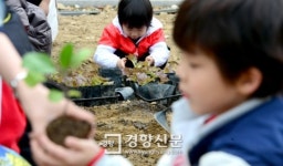 [경향포토]광진구 어린이 일일 농부체험