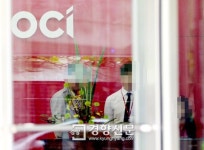 OCI의 유령회사 설립, 오너 일가 주식 거래와 관련설도 제기