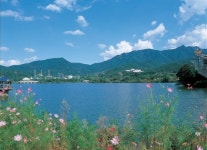 [新택리지]언제까지나 살고 싶은 도시, 경기 과천시