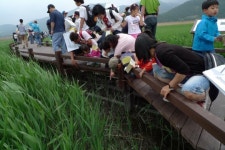 순천시, 첫 전국 초등생 대상 순천만 에코힐링캠프