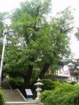 [新택리지]땅도 편하고 사람도 편한 그 곳…편안한 땅 천안