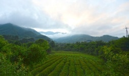 비가 오면 더 아름다운 곳…지리산 ‘부춘마을’