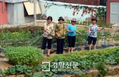 낡은 담장에 그림 그리고 텃밭 꾸미고 ‘40년 된 달동네’ 주민 힘 모아 재개발