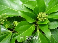 후기