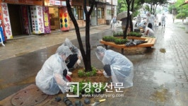 경기 부천에 ‘게릴라 가드닝’ 떴다
