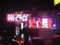 [사물과 사람 사이]발광시대의 이웃