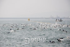 여수 앞바다서 3일 전국 바다수영대회 개최