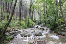 양평 국립산음자연휴양림 힐링 체험 인기