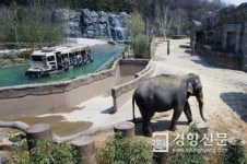 에버랜드 입장객이 2명뿐? 그때 무슨 일이 있었나