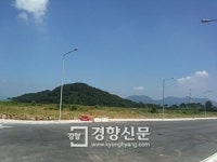 조선을 놀래킨 코끼리유배사건의 내막