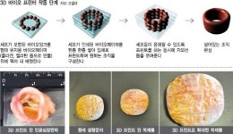 ‘상상 초월’ 3D 프린터의 진화… 인간의 장기 제작까지 넘본다