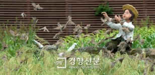 [경향포토]허수아비와 참새
