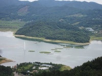 대청호에 인공수초재배섬 조성…녹조발생 억제 기대