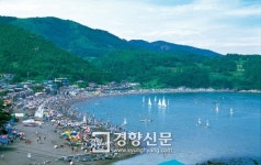올 여름 여수찾은 피서객 200만명, 요식업소 ‘대박’