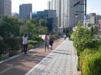 성북구, 불법 주정차 공간에 텃밭 조성