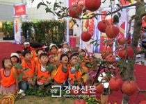 전북 장수군 주최 한우랑 사과랑 축제 6일 개막