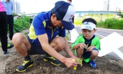 서울 도심 중랑천변 배추밭으로 ‘변신’