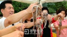 [경향포토]무교동 낙지 맛보세요