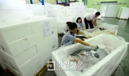 [경향포토]인천공항세관 방사능 측정