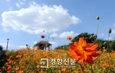 다음주 가을비와 함께 늦더위 끝