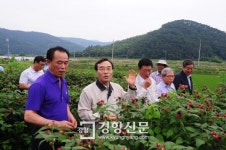이강수 고창군수 “복분자가 최고여”